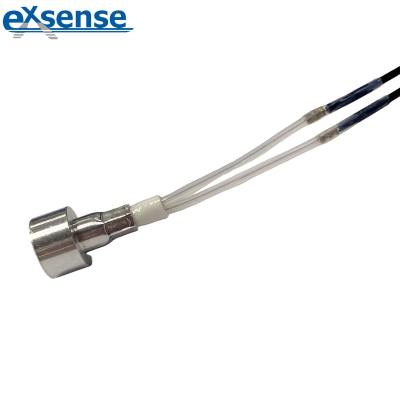 NTC Temperature Sensor NTC Probe For Ironing Machine 